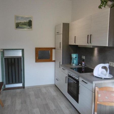 Ferienwohnung Rauscher Altenberg ภายนอก รูปภาพ