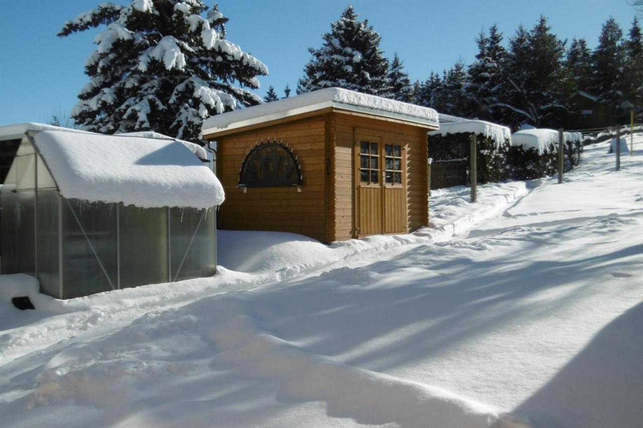 Ferienwohnung Rauscher Altenberg ภายนอก รูปภาพ