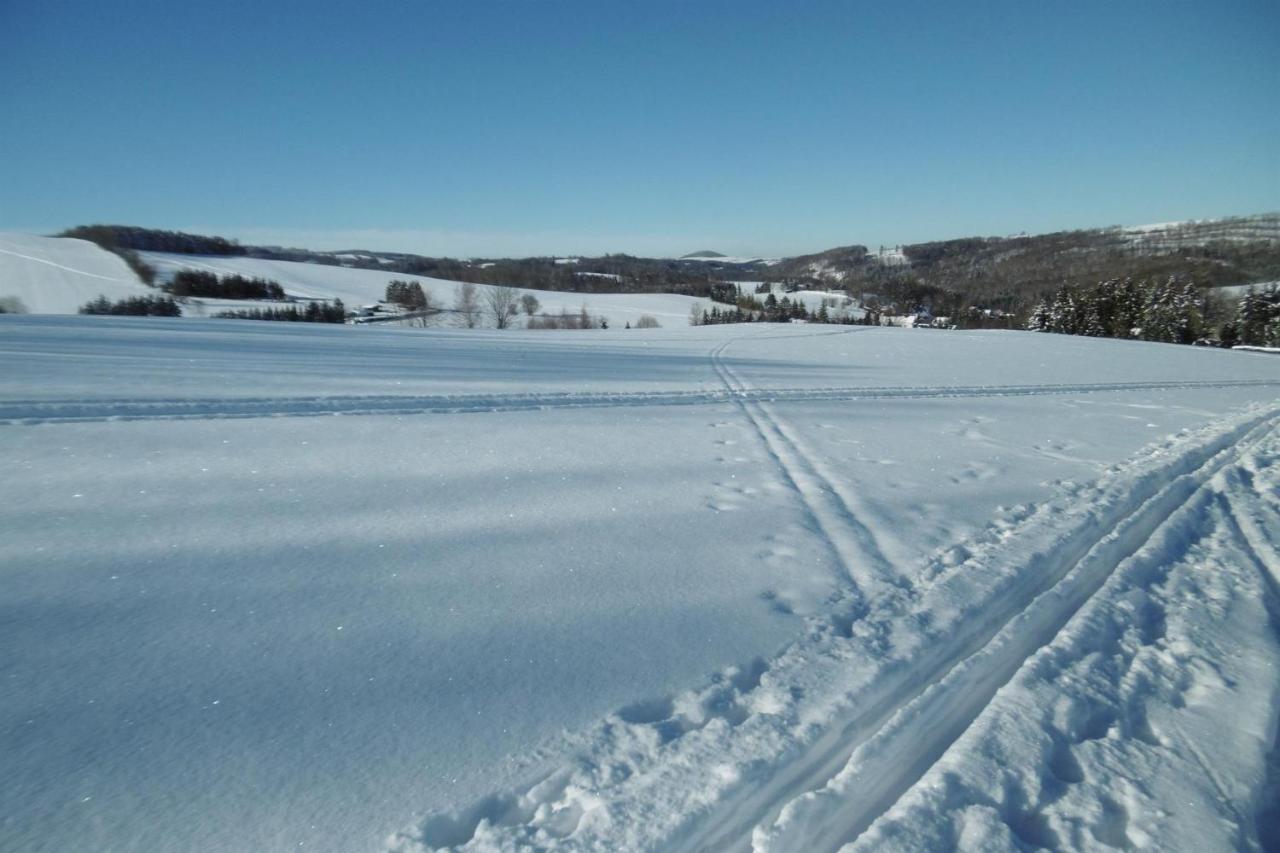 Ferienwohnung Rauscher Altenberg ภายนอก รูปภาพ