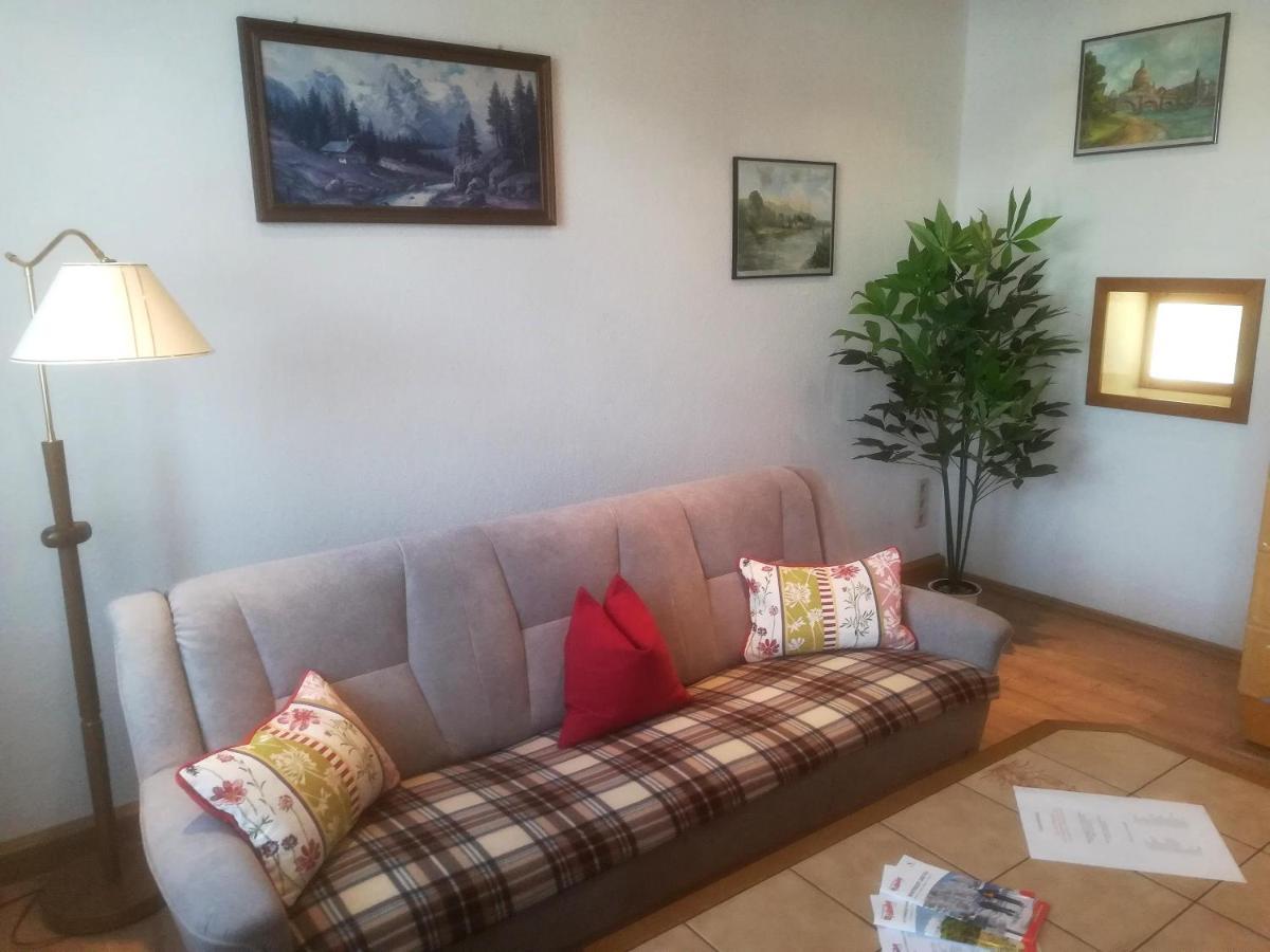 Ferienwohnung Rauscher Altenberg ภายนอก รูปภาพ
